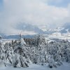 12_dec_09_VM